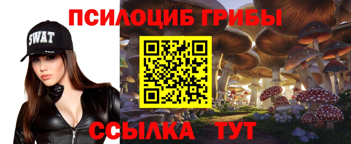 Гусев  Псилоцибиновые грибы Psilocybe  Вход с VPN 