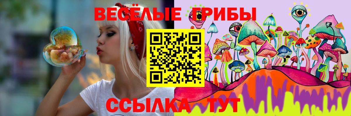 Псилоцибиновые грибы прущие грибы Гусев