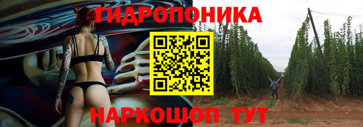 Гусев  Бошки Шишки VHQ  Вход с VPN  Марихуана сатива  Марихуана Amnesia 